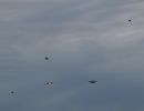 Birds of a feather: F-16s train over Aviano skies