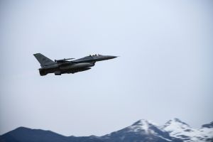 Aviano soars