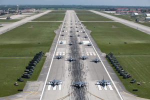 Aviano Elephant Walk